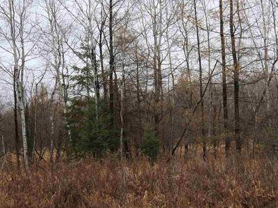 40 Ac Center Ave, Medford, WI, 54451