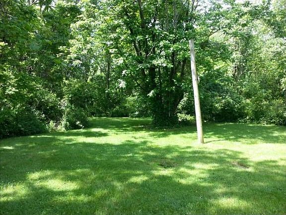 Back Yard 2