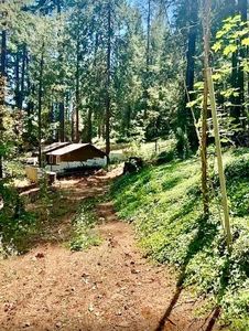 28040 Manzanita Trl, Colfax, CA, 95713