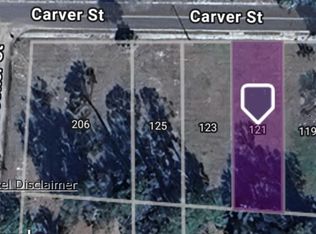 121 Carver St, Palatka, FL 32177