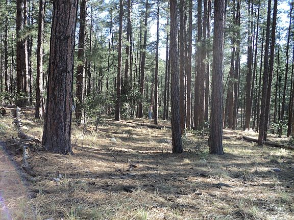 Dearing Park 1.3 acre Lot