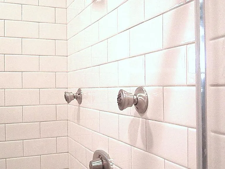 Downstairs Master BR shower