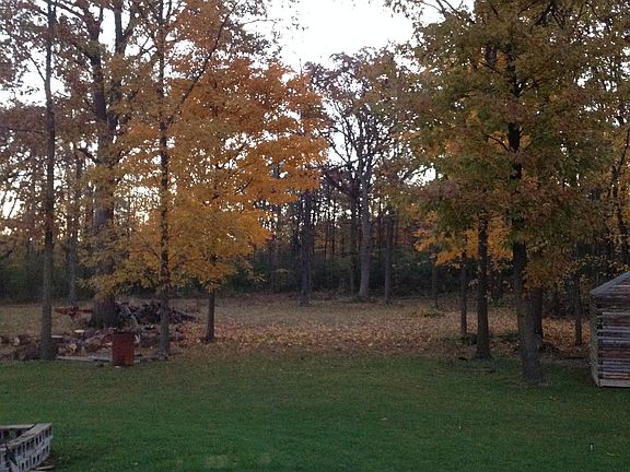 fall view of back yard