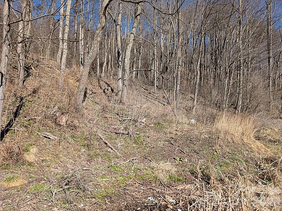 3rd image of 0 Great Smoky Mountain Expy