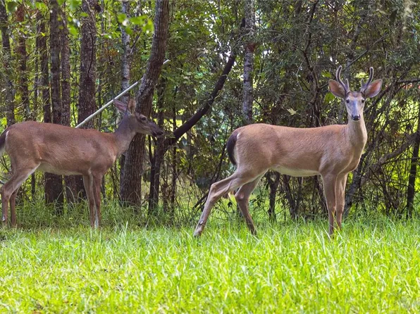 10678 Lake Iamonia Dr #6, Tallahassee, FL 32312