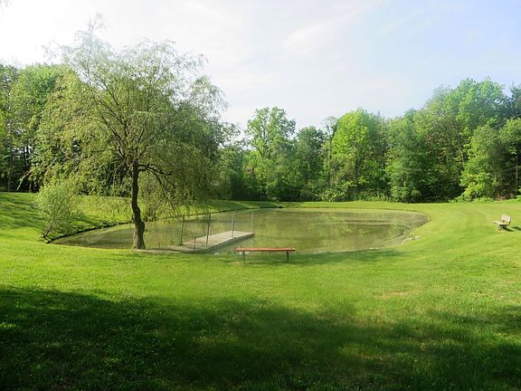 pond