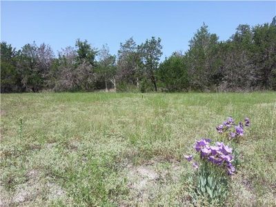232 Christine Ln, Liberty Hill, TX, 78642