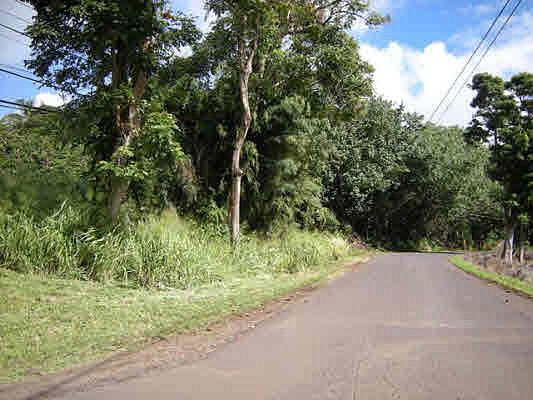 2nd image of Iwipoo Rd