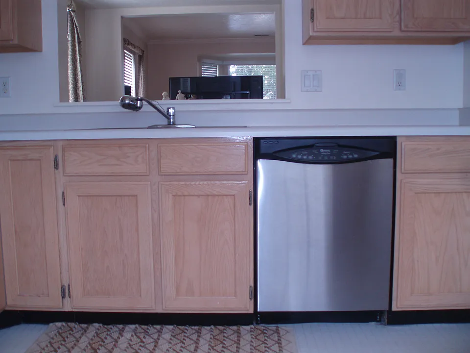 Dishwasher_01102013