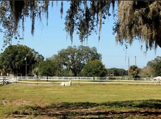 18603 Tyler Rd, Odessa, FL 33556