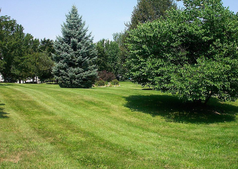 2nd image of 41 Butler Dr