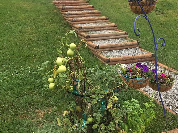 View from back deck to pool 