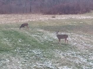 85 Bankrupt Rd, Phoenix, NY 13135