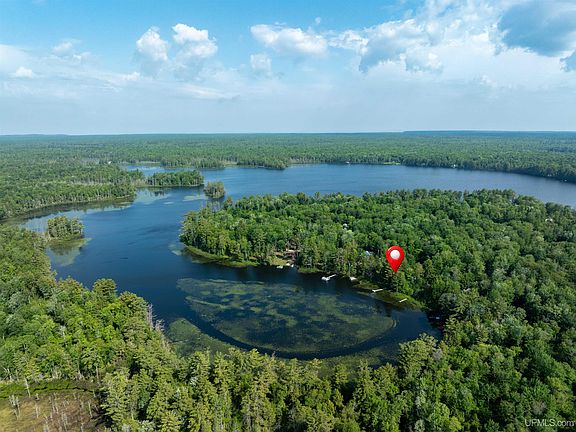 2nd image of E16983 Nevins Lake Rd