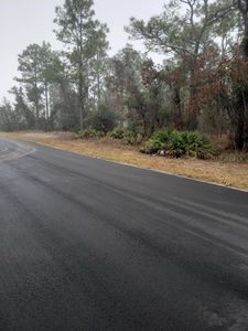 7229 S Ridge Point Floor 0, Homosassa, FL, 34446