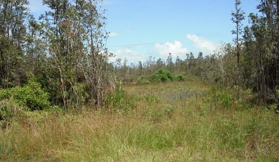 4th image of Road 5 Lot 4076