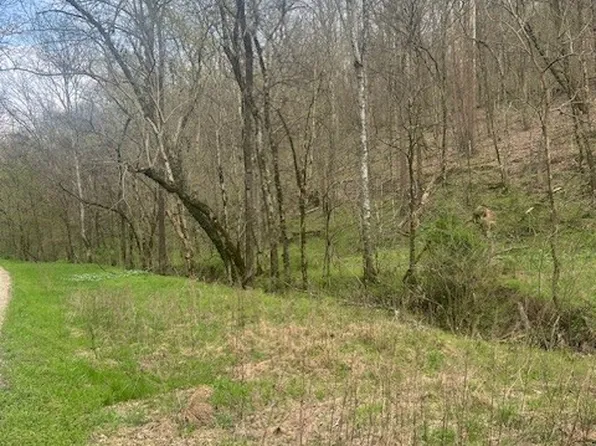 0 Club Springs Rd, Elmwood, TN 38560