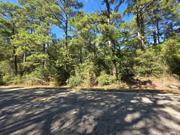 0 Fm 3204, Brownsboro, TX 75756