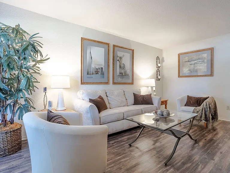 Luxurious Living Room
