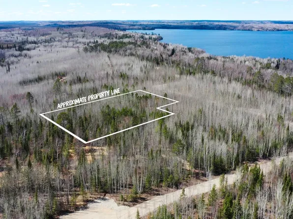 PARCEL W Frazer Bay Rd #F, Cook, MN 55723