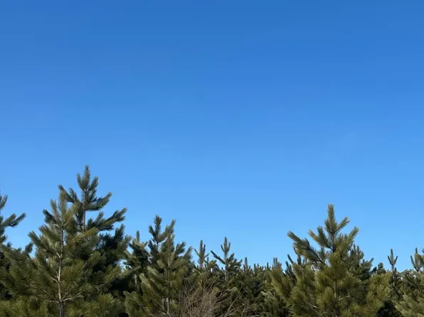 Burrows Lake Rd Lot 1, Tomahawk, WI 54487