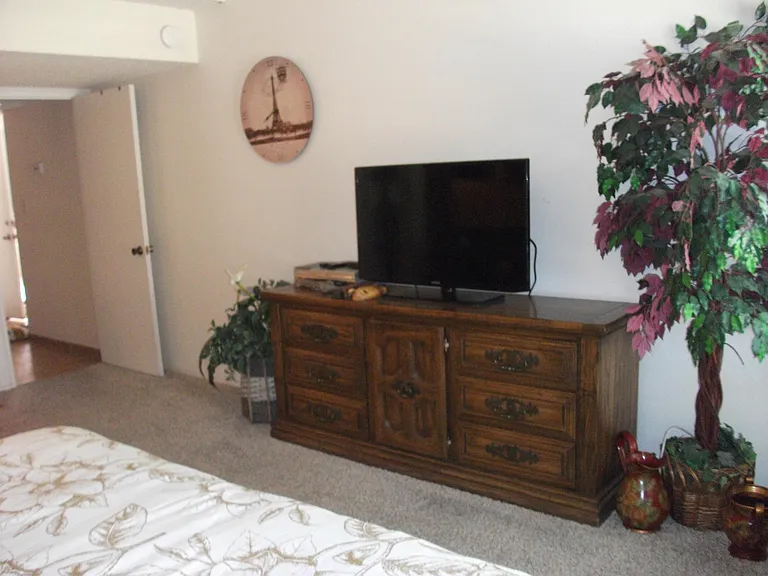 49225 Eisenhower Dr #49225 — Photo 18