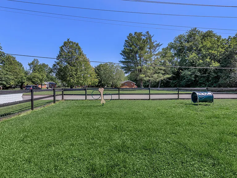 Colony House — Photo 11