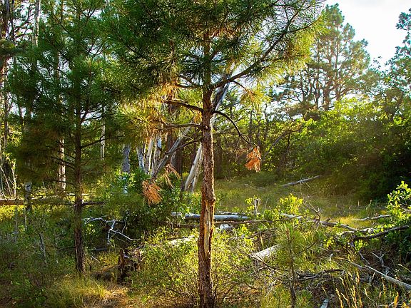 Img 4683 Happycanyonranch Lr Wm