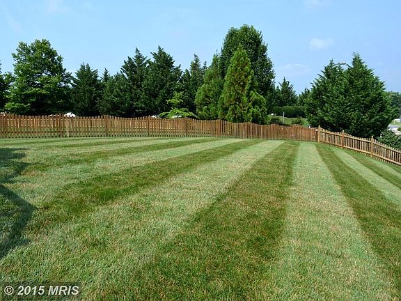 Back yard perfect for playing and entertaining