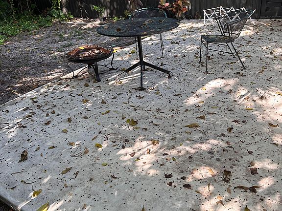 Lush, cool patio with old trees and fruit trees