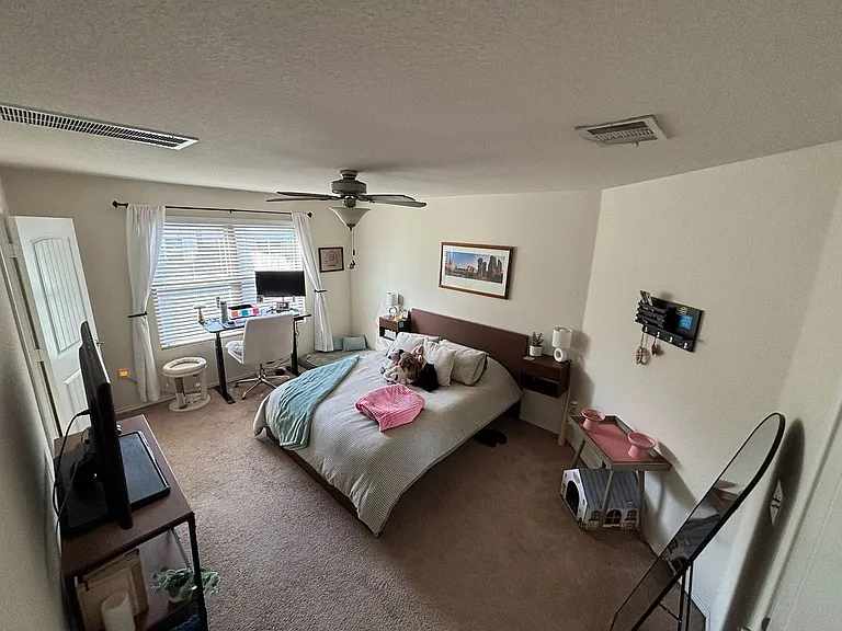 3509 Black Granite Dr — Photo 16