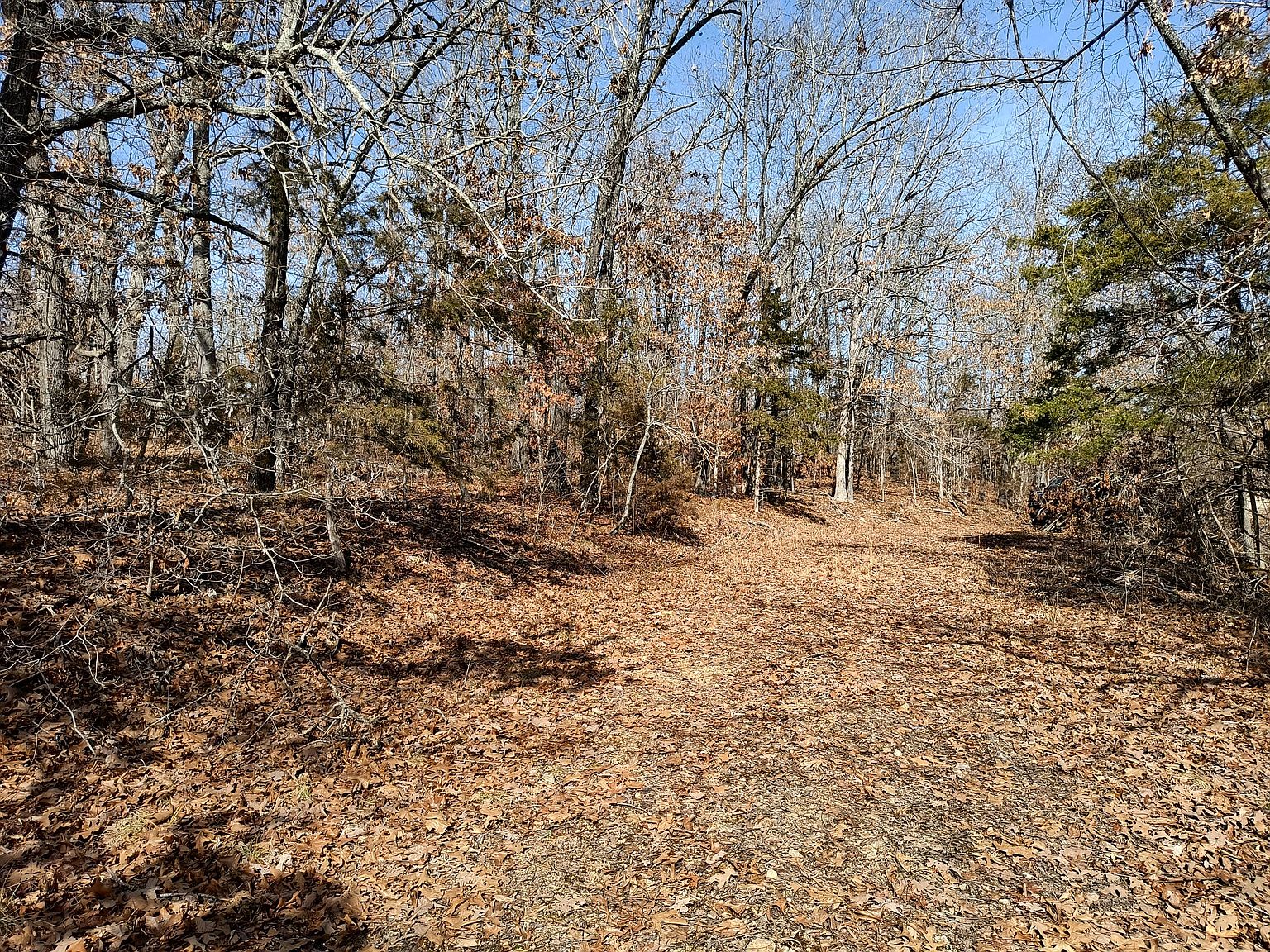 000 Catalpa Drive, Lakeshore Hills, Theodosia, MO 65761 MLS 60260882