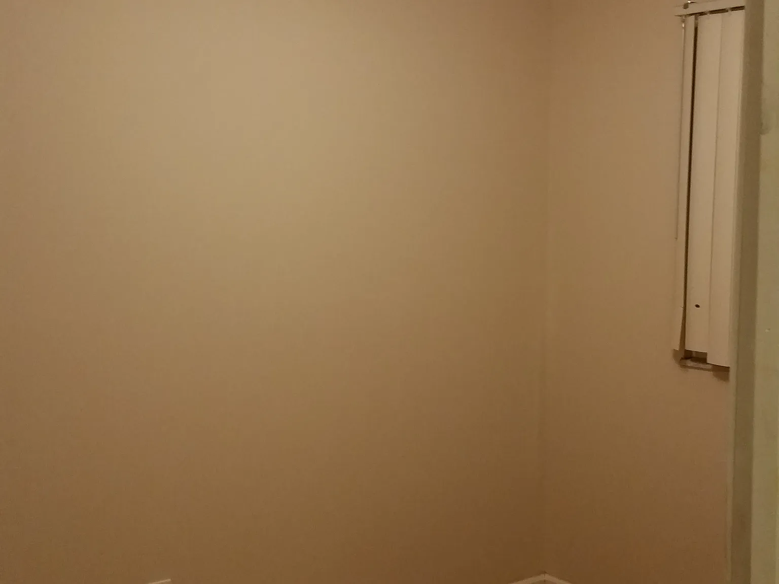 3 bed, 1236 sqft, $1,625 — Photo 4