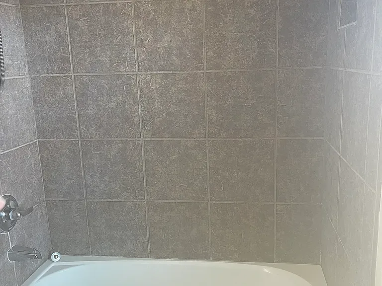 Master bedroom tub/shower combo