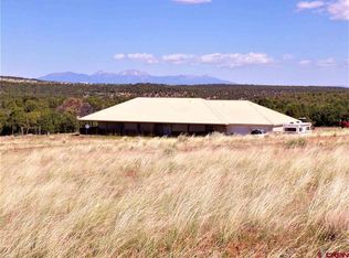 660 County Road 8k, Egnar, CO 81325