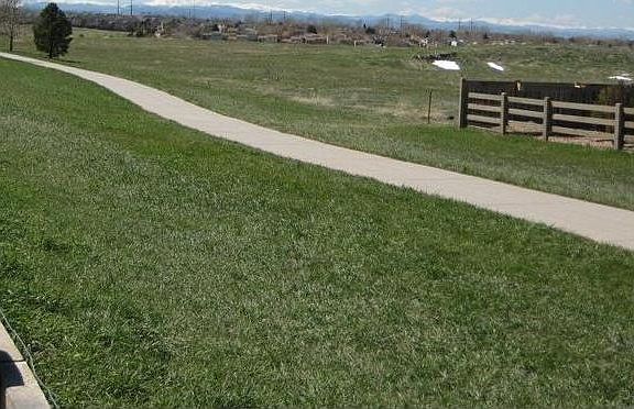 Backs to a Gorgeous Greenbelt!