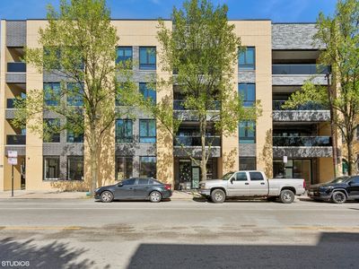 1017 N California Ave UNIT 2, Chicago, IL, 60622