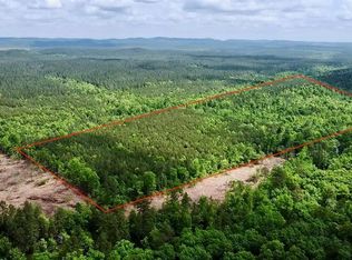 Union Valley Trl, Eagletown, OK 74734