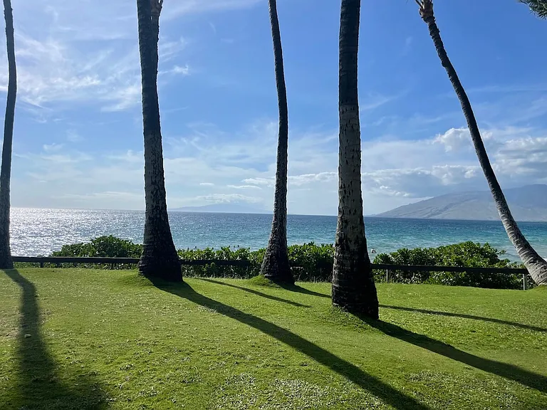 Window View