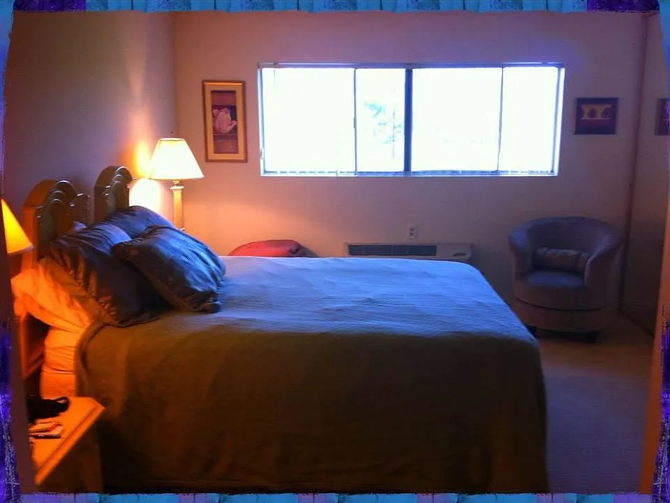 2 bed, 1336 sqft, $3,750 — Photo 3