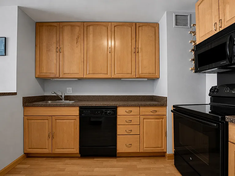 1636 N Wells St #1605 — Photo 11