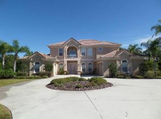 16615 Sounding Shores Dr, Odessa, FL 33556
