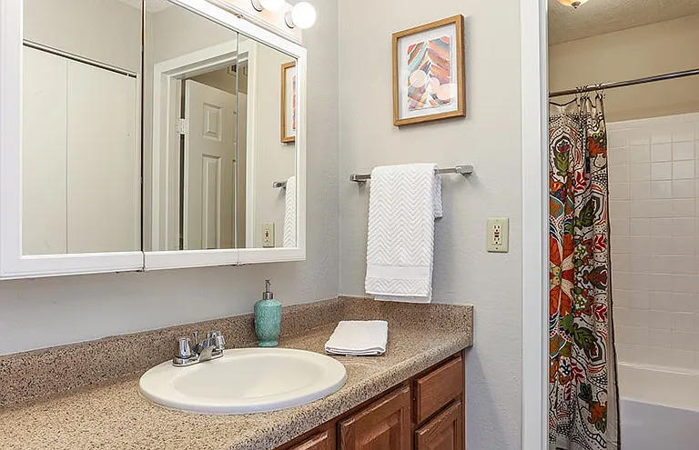 The Meadows Apartment Homes KS — Photo 6