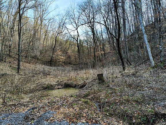 4th image of 907 Sharp Rd