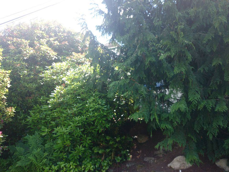 1st image of 2803 NW 94th St