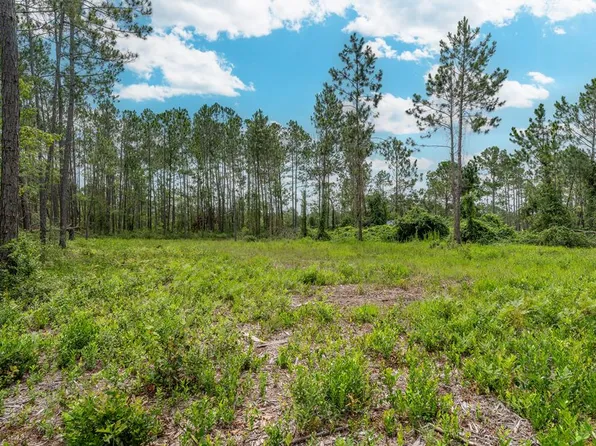 0 Willacoochee Hwy, Willacoochee, GA 31650