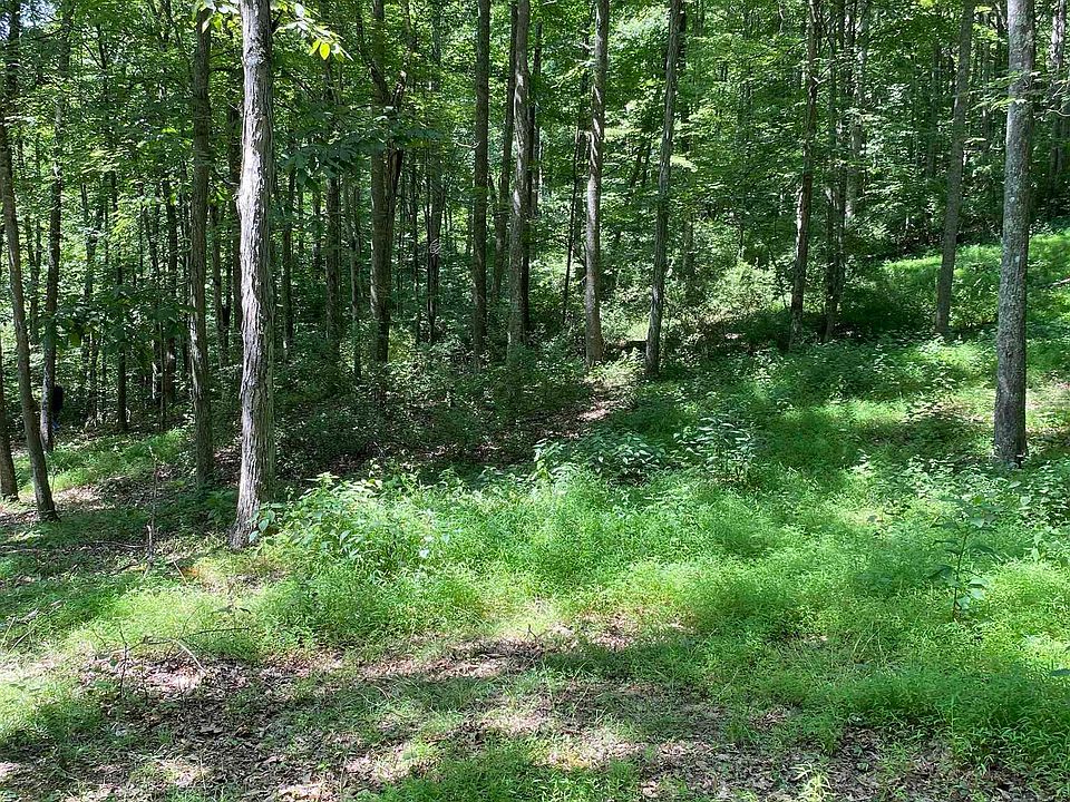 5 Toms Run Rd, Walkersville, WV 26447 Zillow