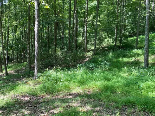 5 Toms Run Rd, Walkersville, WV 26447