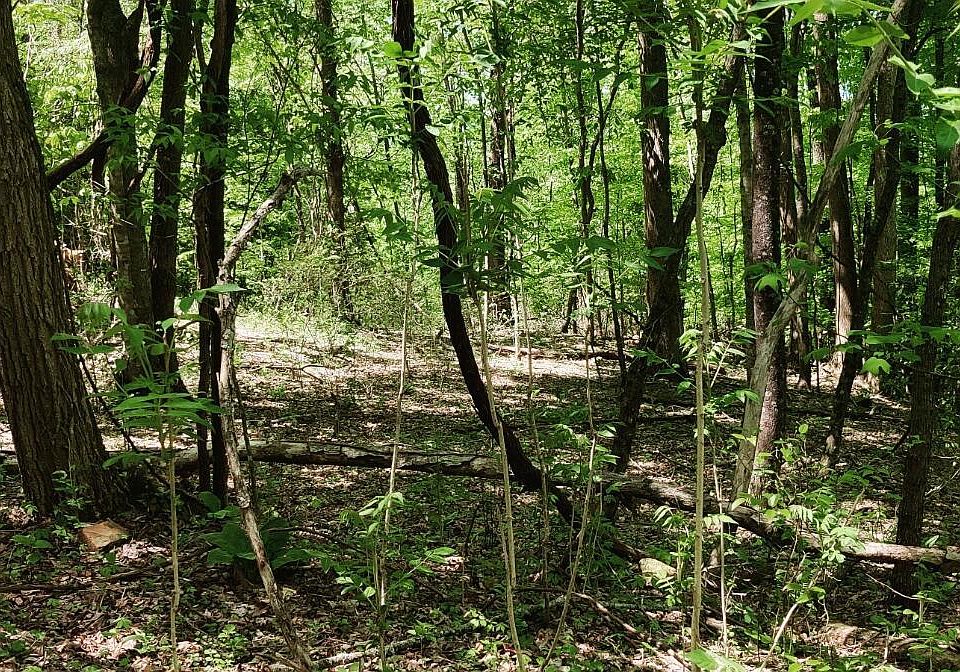 1st image of 0 Coburntown Rd Lot 11
