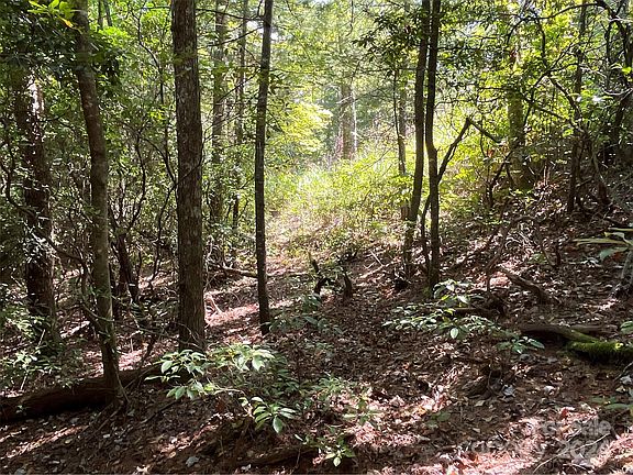 3rd image of 99999 Erwin Hill Dr
